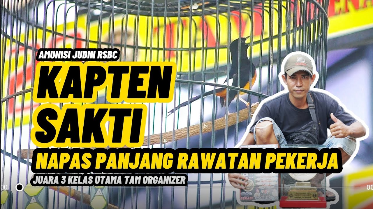 RAWATAN PEKERJA : JEMUR SEMINGGU SEKALI | NAPAS PANJANG MURAI KAPTEN SAKTI JUARA 3 KELAS UTAMA TAM