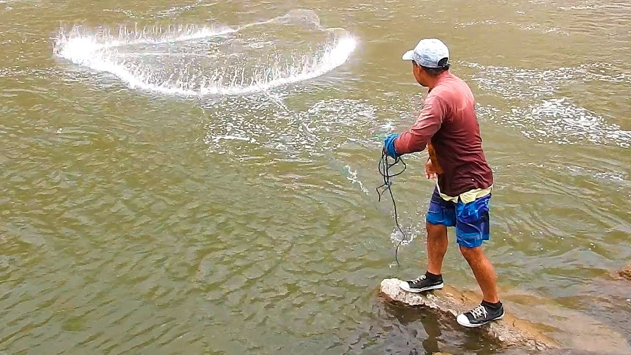 ¡El río fue generoso! EXPERTO pescador lanza su atarraya y mira lo que ...