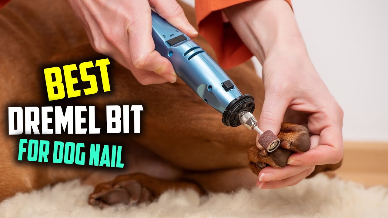 How To Dremel Your Dog's Nails - Slow Motion Close Ups 