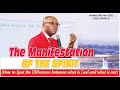 THE MANIFESTATION OF THE SPIRIT