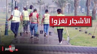 الأشجار تغزو بغداد وتحتل الرصافة! | تقرير