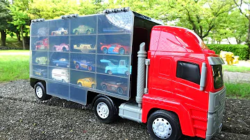 Find 32 types of Disney Cars & Japanese Anime Tomica in the park!