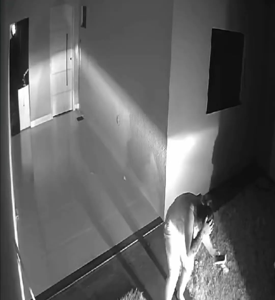 Dog Falls into Water-Filled Pit After Car Drives Over It