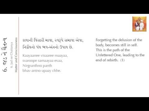 Shrimad Rajchandra - Jad Ne Chaitanya (Vachanamrut 902) | (Gujarati and English)