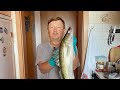 Невероятный улов одним забросом девять рыб. Ну и судак ,жерех.