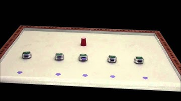 5 DirCom robots capture 1 point