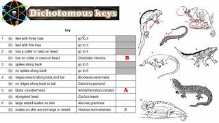 Dichotomous Keys Biology IGCSE