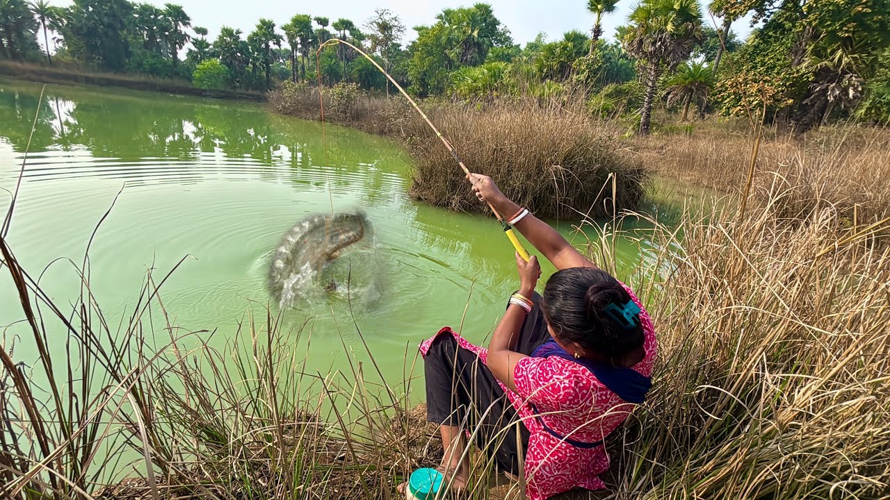 Fishing Video | Two Village Lady Catch Big Size Monster Fish In Forest ...