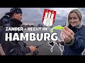 ENDLICH❗Angeln in Hamburg | am Hafen vom Ufer | Zander und Hecht | Vlog #106