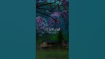 تلاوة هادئة تريح الأعصاب 😴🎧 القارئ: شريف مصطفى سورة: المجادله 💙❤