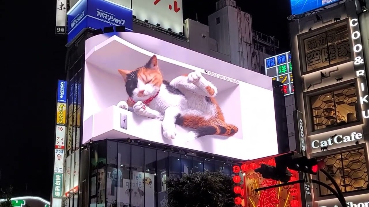 20230604新宿東口：十字路口的貓警長