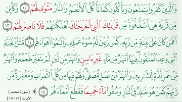 سورة محمد - أفهم وأحفظ #الثاني_عشر  #عقيدتنا @Sarah-2022