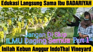 Edukasi Langsung Sama Ibu Badariyah Di Kebun Anggur INDOTHAI VINEYAR