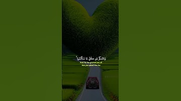 القرآن الكريم #qoran_karim #اكسبلور #المصحف #دويتو #لايك