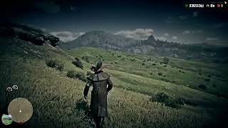 How to catch a wild horse | RedM Guide | Harmony Meadows