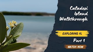 Caladesi Island Walk: Hidden Gem of Florida's Gulf Coast | Nature Trail & Beach Stroll