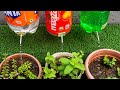 How to Make a Drip Irrigation System from Plastic Bottles | DIY Homemade Watering System for Plants