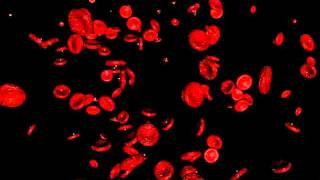 Maya Blood Cells (Particles) Test