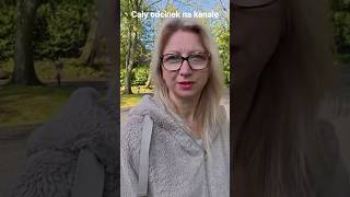 Jak dziki wróciły do lasów w Wielkiej Brytani