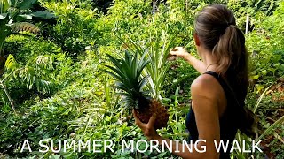 MORNING RITUAL IN MY FOOD FOREST