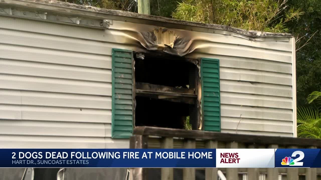 2 dogs dead after fire in North Fort Myers mobile home - YouTube