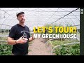 Why a greenhouse is the best investment for your farm  climate resilience and epic yields