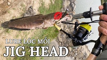 Lure cá lóc , thử dùng JIG HEAD dễ nhất