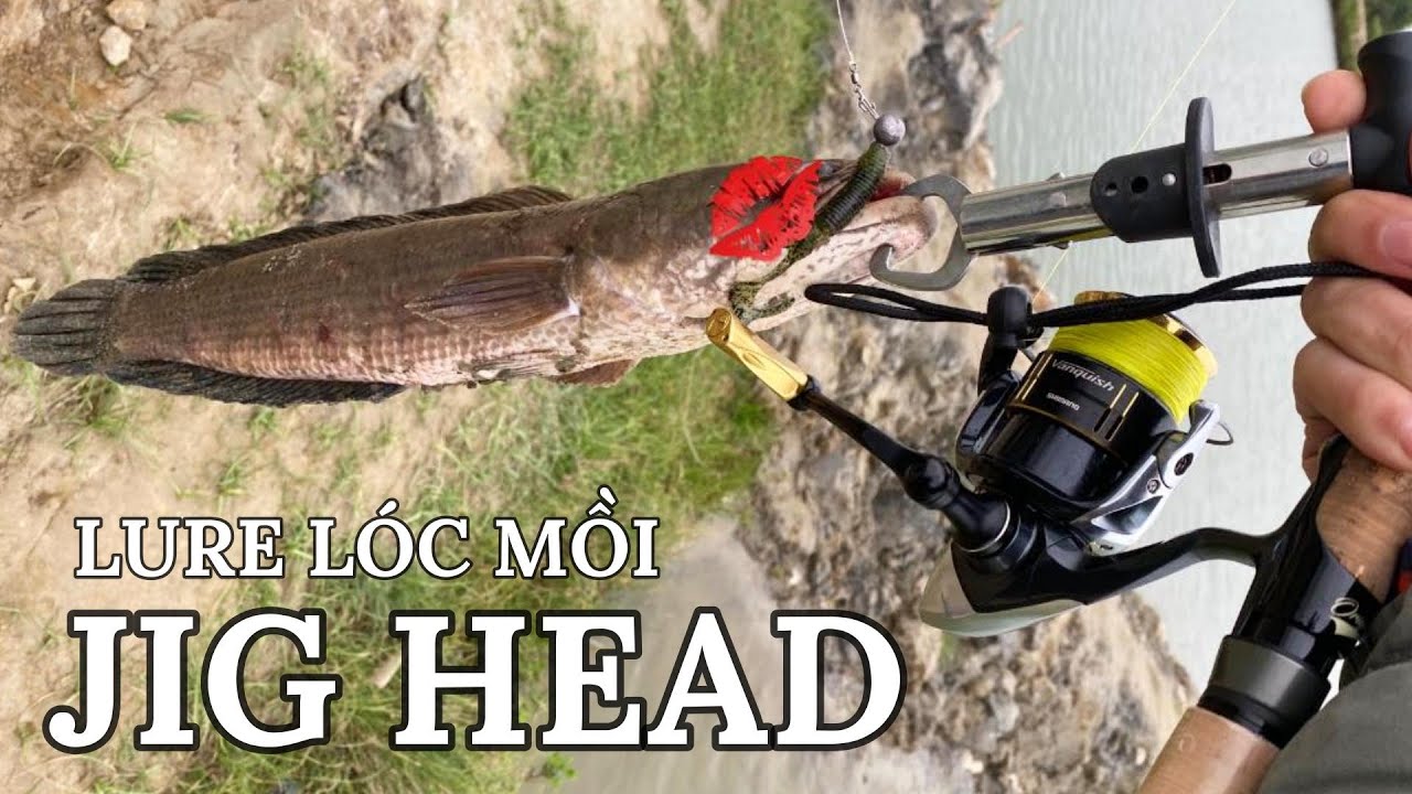 Lure cá lóc , thử dùng JIG HEAD dễ nhất