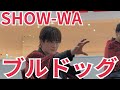 SHOW-WA『ブルドッグ』おのだサンパーク 2025.12.13