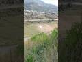 #cricket #villagecricket #shortvideo #shorts #abbottabad #views