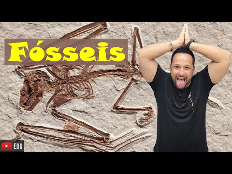 Fósseis - Conceito