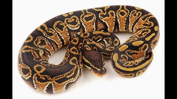 The Best of 2012 - Part 3