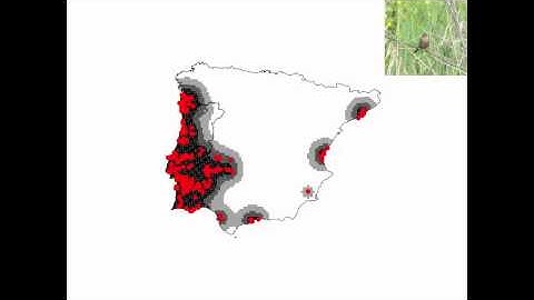 Modelling dispersal-limited species