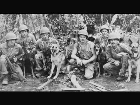 War Dogs on Military Channel *