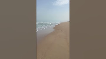 #اللحيدان #راحة_نفسية #تلاوة_خاشعة #قرآن #اكسبلور #قران_كريم #لايك #النبرة_اللحيدانية