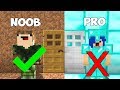 NOOB vs PRO l QUEM FICOU MAIS RICO? l MINECRAFT