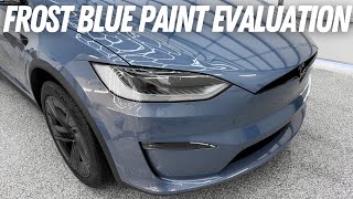Frost Blue Metallic Tesla Model X Paint Quality Evaluation - My New Favorite Tesla Color! screenshot 5
