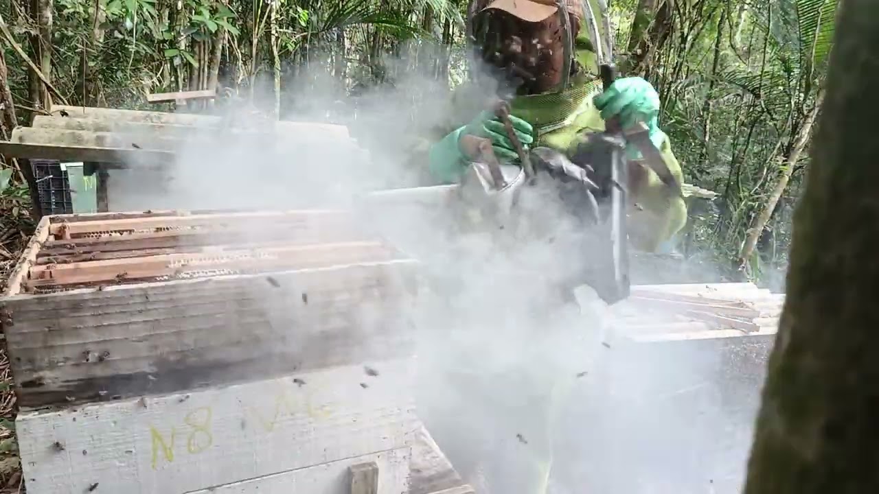 Revisão de melgueira para mais uma colheita no fim de fevereiro 2026