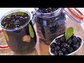 تخليل الزيتون الاسود بطريقتين صحية ناجحة الشيف نادية |Recette d'Olives noires marinées en 2 versions