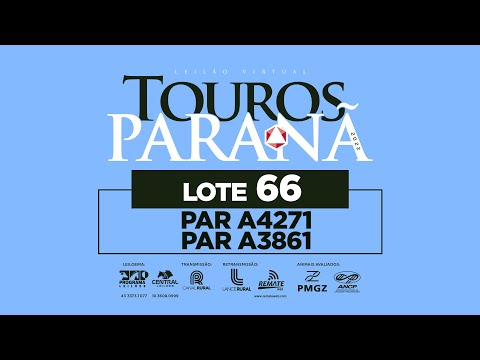 LOTE 66 PAR A3861 PAR A4271