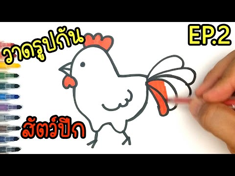 สอนวาดรูป สัตว์ปีก 5 ชนิด อย่างง่าย | How to drawing and painting bird