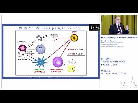 Video: Rozlúštenie úlohy Vírusu Epstein-Barrovej V Patogenéze Lymfocytov T A NK Buniek