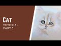 How to draw a white cat with soft pastels step by step tutorial for beginners Part 5