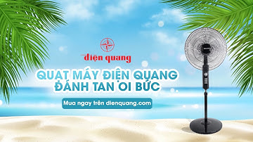 Quạt điện, quạt đứng Điện Quang - Quạt công suất lớn, đánh tan oi bức, bền bỉ cùng thời gian.