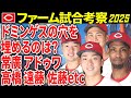 【広島カープ2軍考察】ドミンゲスの代役は？【2025ファーム】