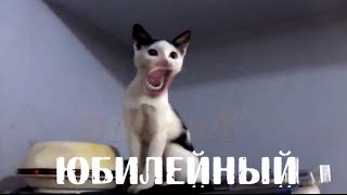 ЛУЧШИЕ ПРИКОЛЫ В COUB #50