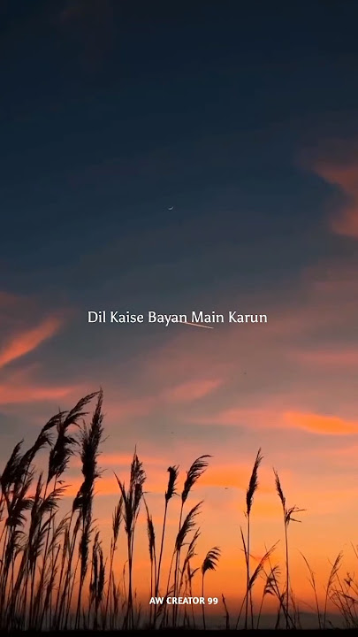 Chup Hai Baatein Dil Kaise Bayan Karu🍁|| WhatsApp Status || #aesthetic #lyrics #lovestatus