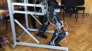 Exoskeleton For Lower Limbs