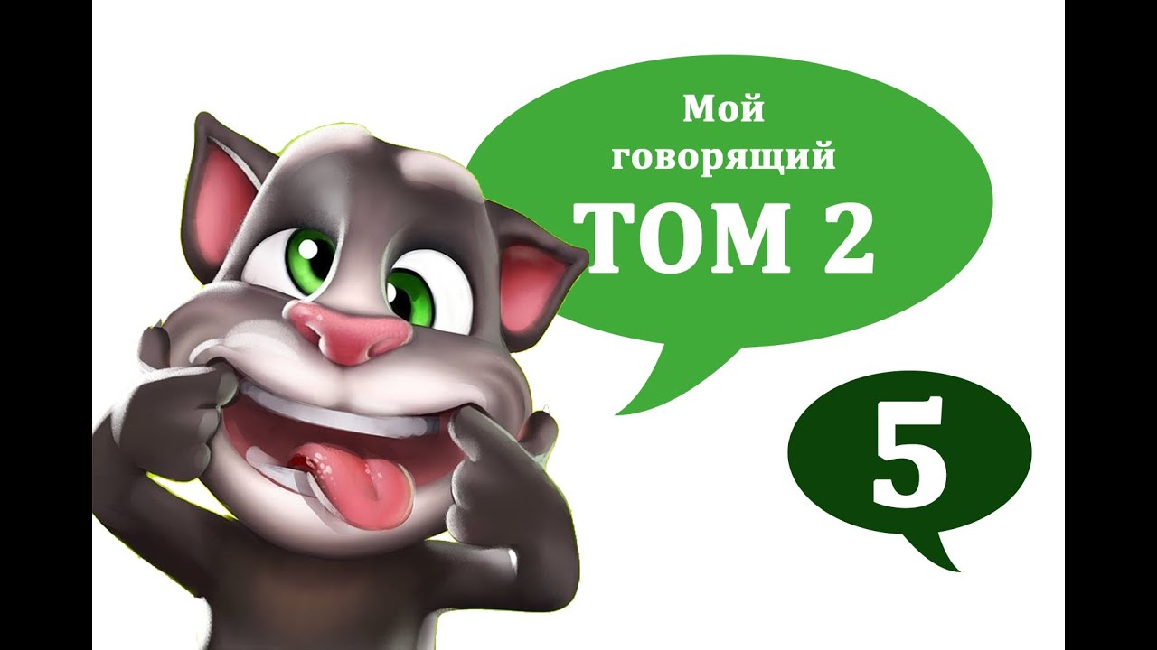 Мой говорящий том 2 книга. Мой говорящий том 2. Говорящий кот том 2 2010. Говорящий том играть. Мой говорящий том 2 крути Тома.