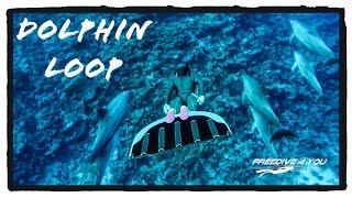 Dolphin loop | A Freedive4u Short